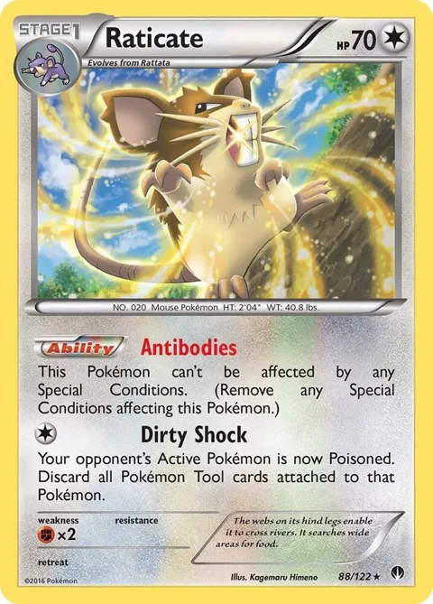 Raticate #88/122 Pokémon card from XY - BREAKpoint