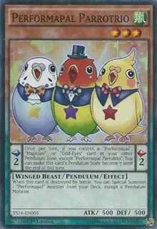 Performapal Parrotrio YS16-EN005 Yu-Gi-Oh card from Starter Deck: Yuya