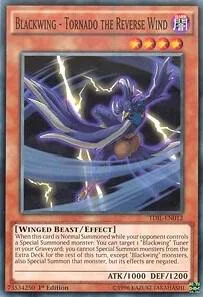 Blackwing - Tornado the Reverse Wind TDIL-EN012 1st Edition Yu-Gi-Oh card from The Dark Illusion