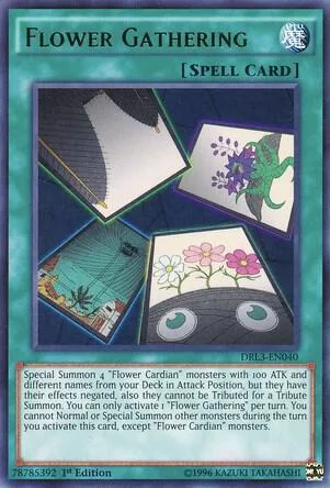 Flower Gathering DRL3-EN040 Yu-Gi-Oh card from Dragons of Legend: Unleashed