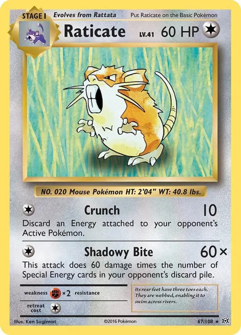Raticate #67/108 Pokémon card from XY - Evolutions