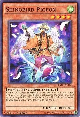 Shinobird Pigeon RATE-EN024 1st Edition Yu-Gi-Oh card from Raging Tempest