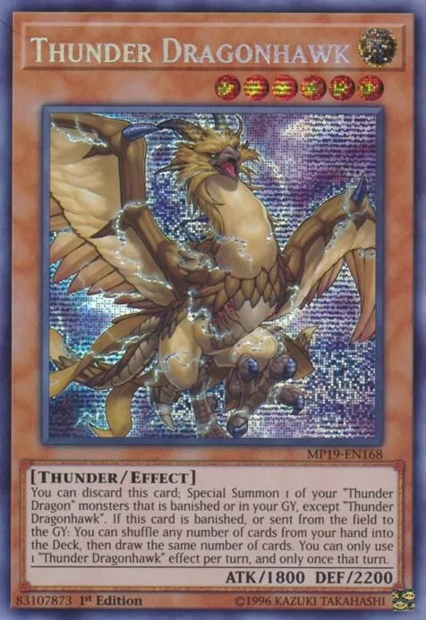 Thunder Dragonhawk MP19-EN168 1st Edition Yu-Gi-Oh card from 2019 Gold Sarcophagus Tin Mega Pack