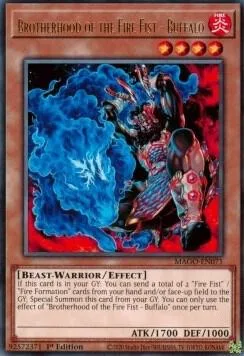 Brotherhood of the Fire Fist - Buffalo MAGO-EN071 Yu-Gi-Oh card from Maximum Gold