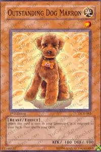 Outstanding Dog Marron DCR-062 1st Edition Yu-Gi-Oh card from Dark Crisis