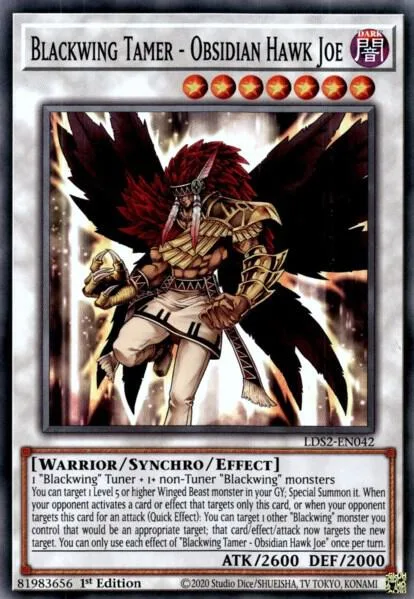 Blackwing Tamer - Obsidian Hawk Joe LDS2-EN042 Yu-Gi-Oh card from Legendary Duelists: Season 2