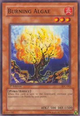 Burning Algae IOC-062 Yu-Gi-Oh card from Invasion of Chaos