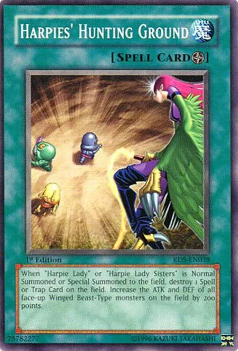 Harpies' Hunting Ground RDS-EN038 1st Edition Yu-Gi-Oh card from Rise of Destiny