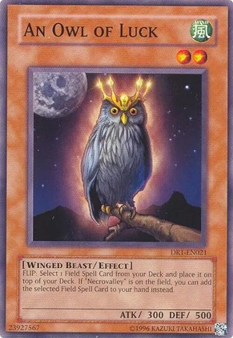 An Owl of Luck DR1-EN021 Yu-Gi-Oh card from Dark Revelation Volume 1