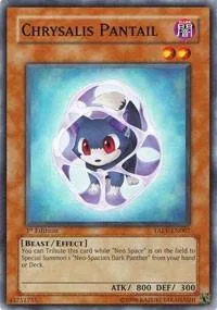 Chrysalis Pantail TAEV-EN007 Unlimited Yu-Gi-Oh card from Tactical Evolution