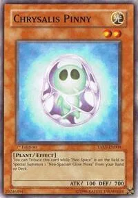 Chrysalis Pinny TAEV-EN009 Unlimited Yu-Gi-Oh card from Tactical Evolution