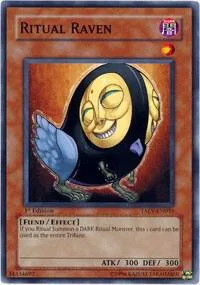 Ritual Raven TAEV-EN035 Unlimited Yu-Gi-Oh card from Tactical Evolution