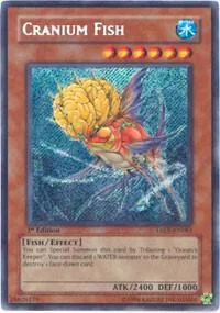 Cranium Fish TAEV-EN083 1st Edition Yu-Gi-Oh card from Tactical Evolution