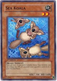 Sea Koala PTDN-EN037 1st Edition Yu-Gi-Oh card from Phantom Darkness