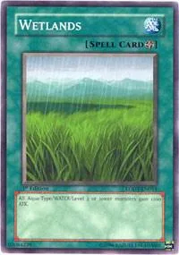 Wetlands LODT-EN054 Yu-Gi-Oh card from Light of Destruction