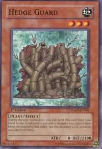 Hedge Guard RGBT-EN008 1st Edition Yu-Gi-Oh card from Raging Battle