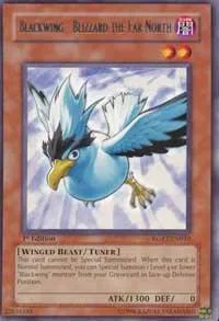 Blackwing - Blizzard the Far North RGBT-EN010 Unlimited Yu-Gi-Oh card from Raging Battle