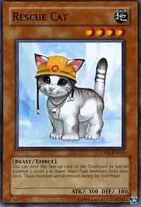 Rescue Cat CP05-EN015 Yu-Gi-Oh card from Champion Pack 5