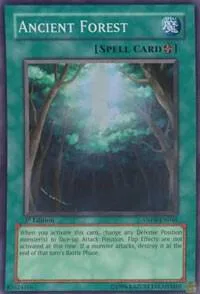 Ancient Forest ANPR-EN048 1st Edition Yu-Gi-Oh card from Ancient Prophecy