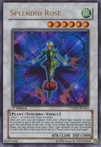 Splendid Rose TSHD-EN043 Unlimited Yu-Gi-Oh card from The Shining Darkness