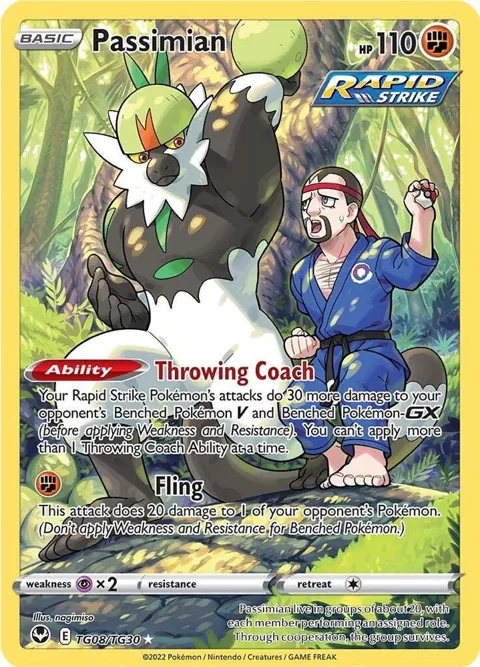 Passimian #TG08/TG30 Holofoil Pokémon card from Silver Tempest Trainer Gallery