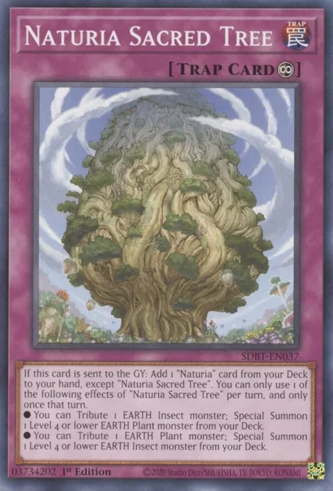 Naturia Sacred Tree SDBT-EN037 Yu-Gi-Oh card from Structure Deck: Beware of Traptrix