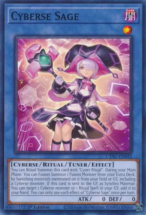 Cyberse Sage CYAC-EN033 Yu-Gi-Oh card from Cyberstorm Access