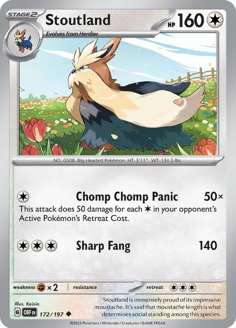 Stoutland #172/197 Pokémon card from Obsidian Flames