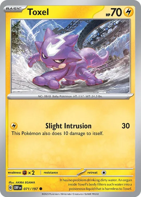 Toxel #071/197 Pokémon card from Obsidian Flames