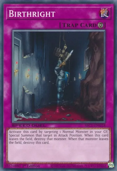 Birthright SBC1-ENG18 Yu-Gi-Oh card from Speed Duel: Streets of Battle City