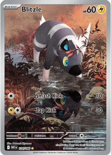Blitzle #114/086 Holofoil Pokémon card from White Flare