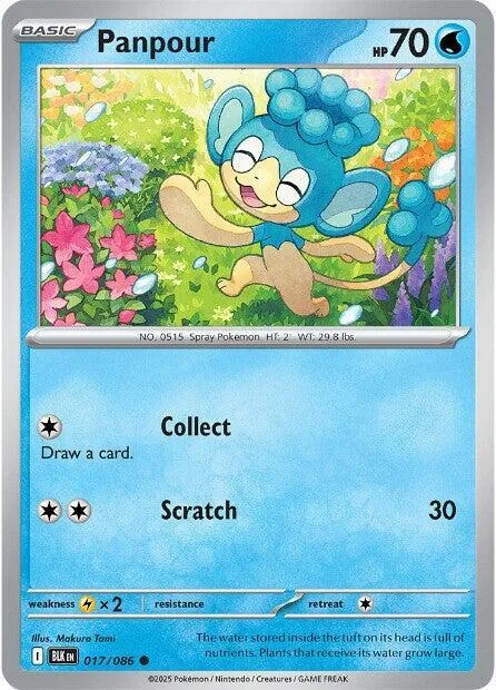 Panpour #017/086 Reverse Holofoil Pokémon card from Black Bolt