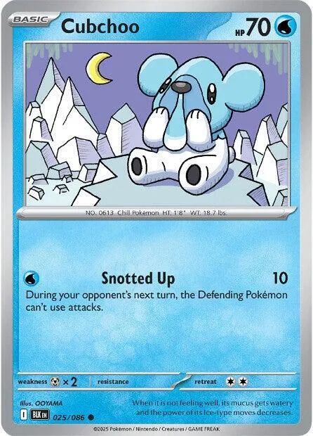 Cubchoo #025/086 Pokémon card from Black Bolt