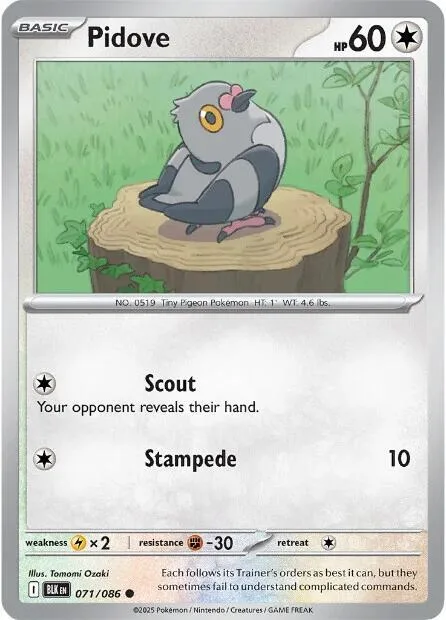 Pidove #071/086 Reverse Holofoil Pokémon card from Black Bolt