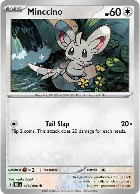 Minccino #075/086 Pokémon card from Black Bolt