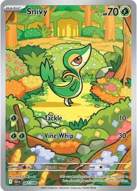 Snivy #087/086 Holofoil Pokémon card from Black Bolt