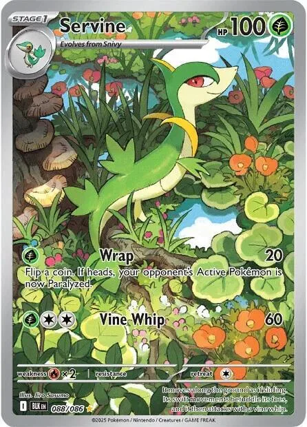 Servine #088/086 Holofoil Pokémon card from Black Bolt