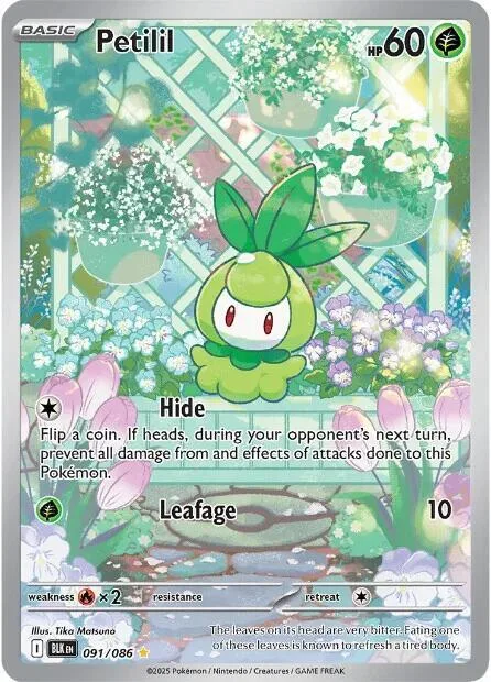 Petilil #091/086 Holofoil Pokémon card from Black Bolt