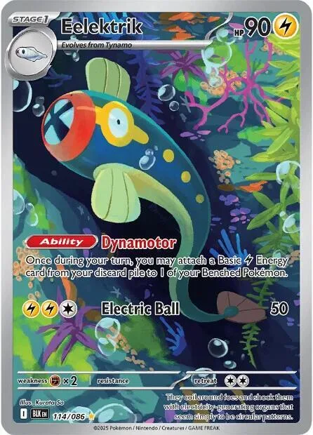 Eelektrik #114/086 Holofoil Pokémon card from Black Bolt