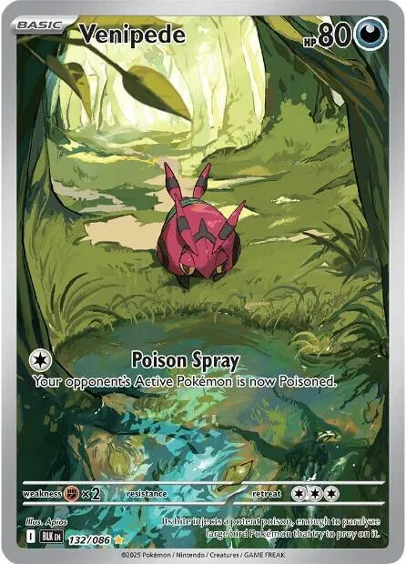 Venipede #132/086 Holofoil Pokémon card from Black Bolt