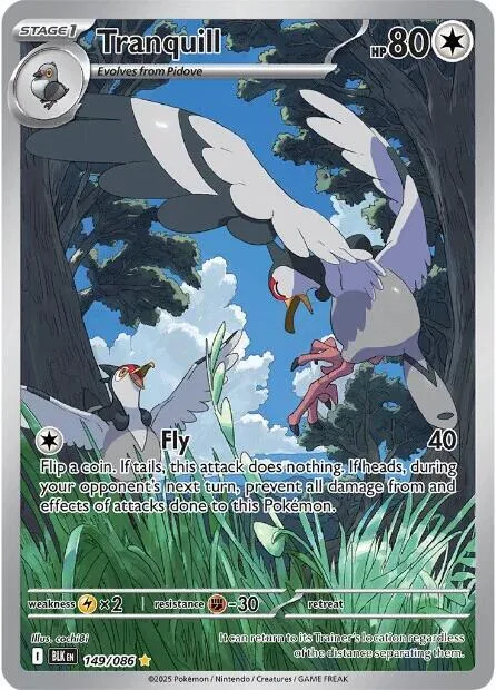 Tranquill #149/086 Holofoil Pokémon card from Black Bolt