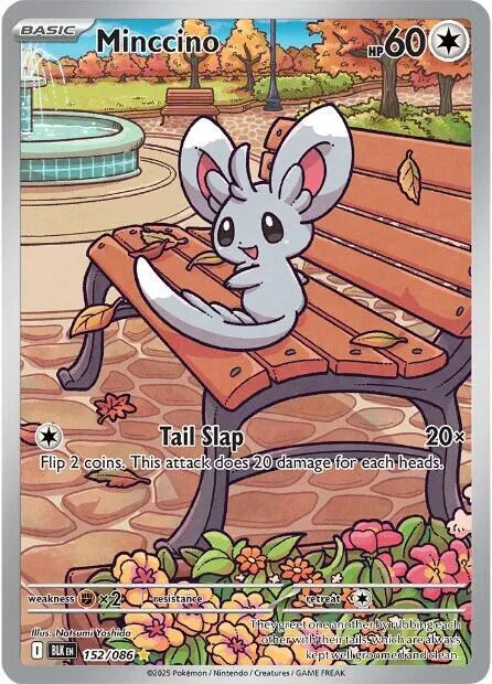 Minccino #152/086 Holofoil Pokémon card from Black Bolt