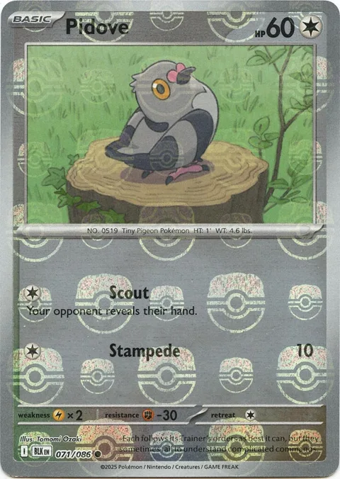 Pidove Master Ball Pattern #071/086 Holofoil Pokémon card from Black Bolt