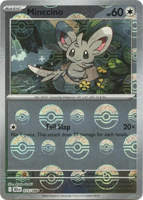 Minccino Poke Ball Pattern #075/086 Holofoil Pokémon card from Black Bolt