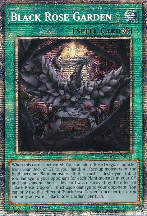 Black Rose Garden Starlight Rare DOOD-EN055 Yu-Gi-Oh card from Doom of Dimensions
