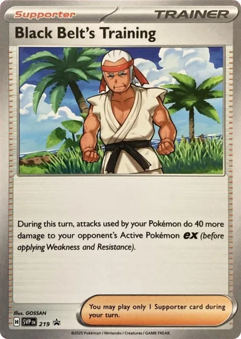 Black Belt's Training #219 Pokémon card from Scarlet & Violet Promo Cards