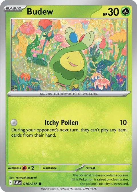 Budew #016/217 Pokémon card from Ascended Heroes