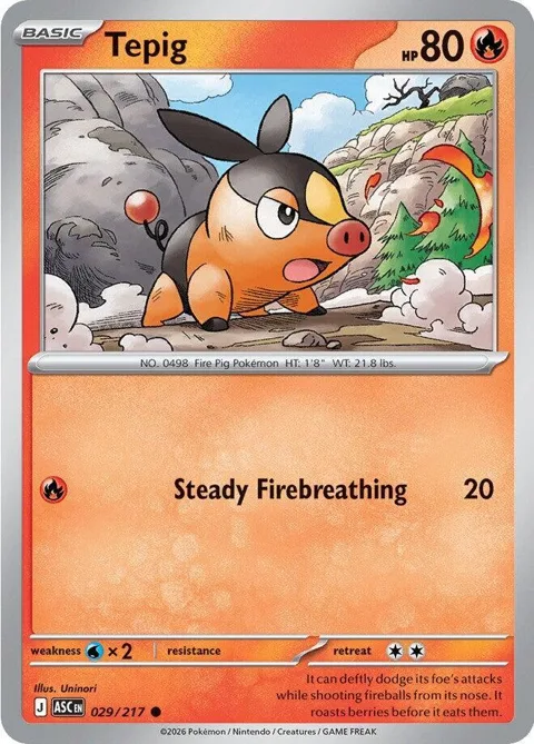 Tepig #029/217 Pokémon card from Ascended Heroes