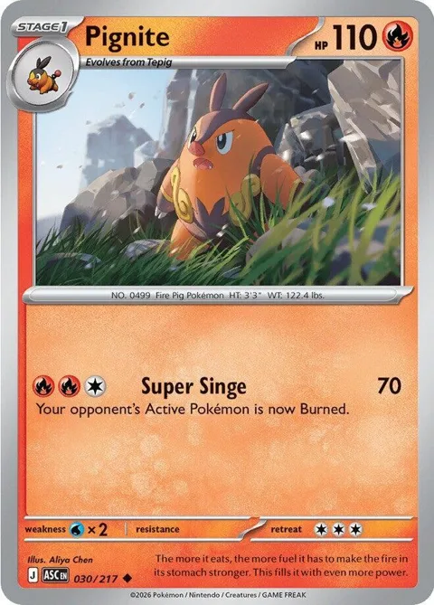 Pignite #030/217 Pokémon card from Ascended Heroes