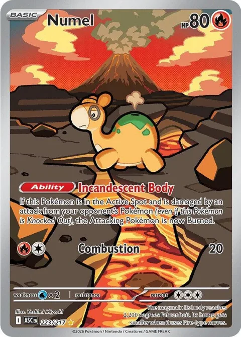 Numel #223/217 Holofoil Pokémon card from Ascended Heroes